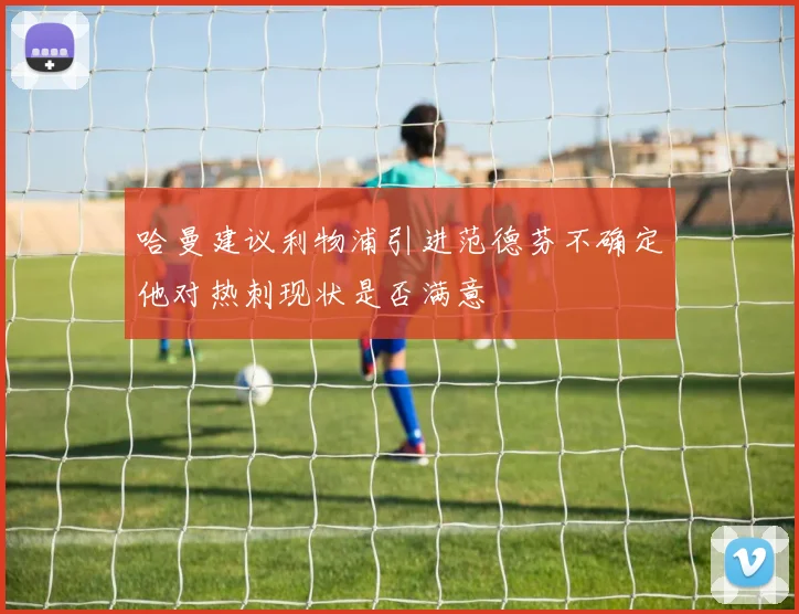 哈曼建议利物浦引进范德芬不确定他对热刺现状是否满意