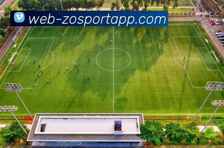 中欧体育平台生态图